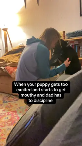 A post by @moxiesadventures on TikTok caption: Her go to when she’s in trouble is to just flop over and cuddle #funnydog #dogtraining #dogsoftiktok #dogparents 