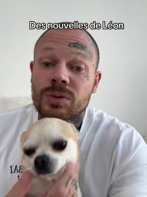 A post by @chichicanos on TikTok caption: Il me manque ❤️‍🩹