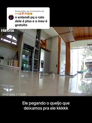 A post by @lucasranngel on TikTok caption: Respondendo a @ana🤪💯🔥😱😍 eu não tô dando conta desse rato