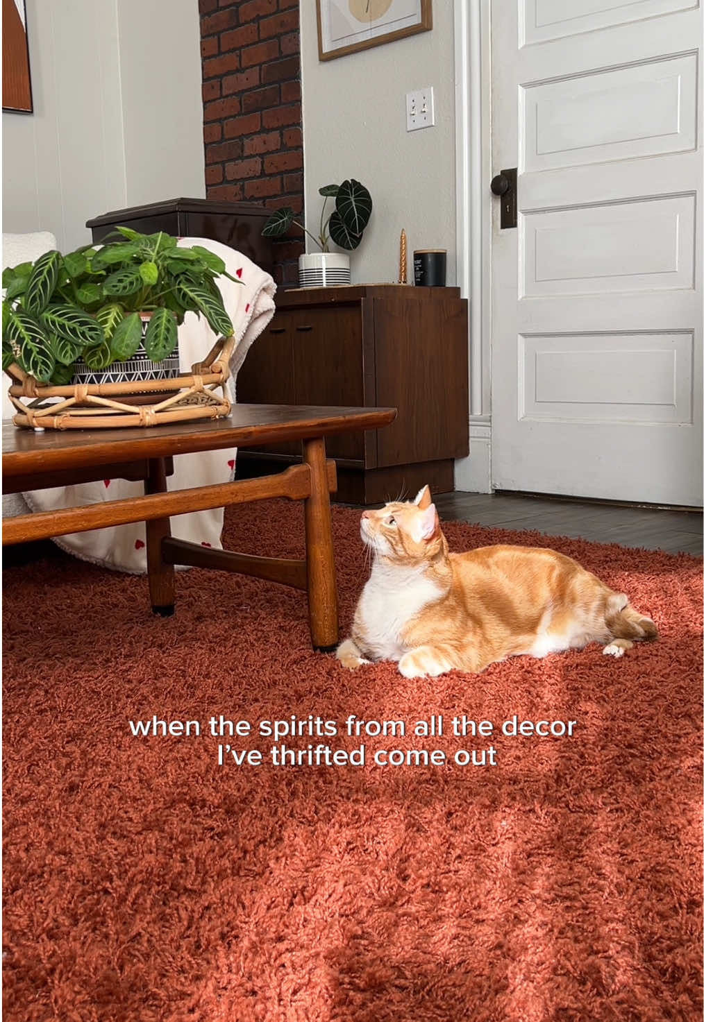 A post by @thatssoovintage on TikTok caption: doesn’t help that my house was built in the late 1800’s 🫣  #spooky #thrifted #decor #funny #cat #livingroom