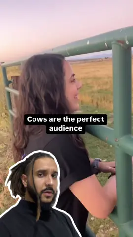 A post by @mesquitareacts on TikTok caption: Vacas adoram MÚSICA! 🎵 🐄 . . . #animaisnotiktok #bichos #curiosidades #curiosidadeanimais #agoravocesabe #aprendanotiktok