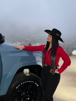 A post by @danielamonsalve082 on TikTok caption: el sueño de toda suegra.. 🤠💰 @Joaquín Guiller  #fyp #foryo #viral_video #paraty #danielamonsalve #elagropecuario #colombia #venezuela #musicapopular #agropecuaria #agropecuario #caballos 