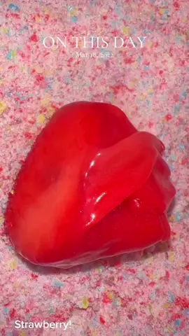 A post by @homemadegusherllc on TikTok caption: #onthisday