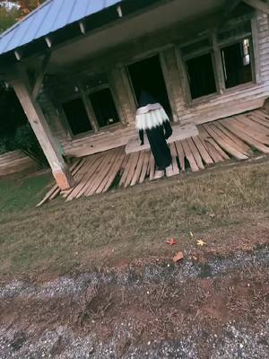 A post by @wizzie_spudspice on TikTok