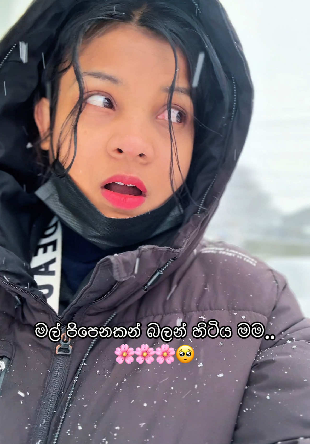 A post by @ishuthathsara0 on TikTok caption: Late upload 🥲🇰🇷#foryou #fyp #fyppppppppppppppppppppppp 