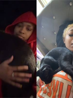 A post by @bigekane on TikTok caption: #duet with @EKANE 💅🏽 throwback to Ben Ben being a kitten now him is long like mom 