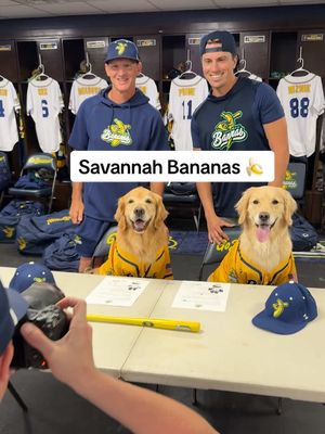 A post by @elliegoldenlife on TikTok caption: From the backyard to the big leagues! @thesavbananas @Coach Viro @Jackson Olson 