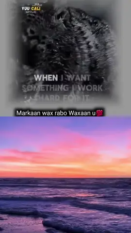 A post by @umsamira2012 on TikTok caption: #duett med @Yuu cali🥀🇧🇸 #somali #fyp 