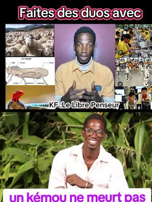 A post by @lelibrepenseur8 on TikTok caption: #visibilité #malitiktok🇲🇱 #creatorsearchinsights #bamakomali🇲🇱 @KF :Le LIBRE PENSEUR 🧠 