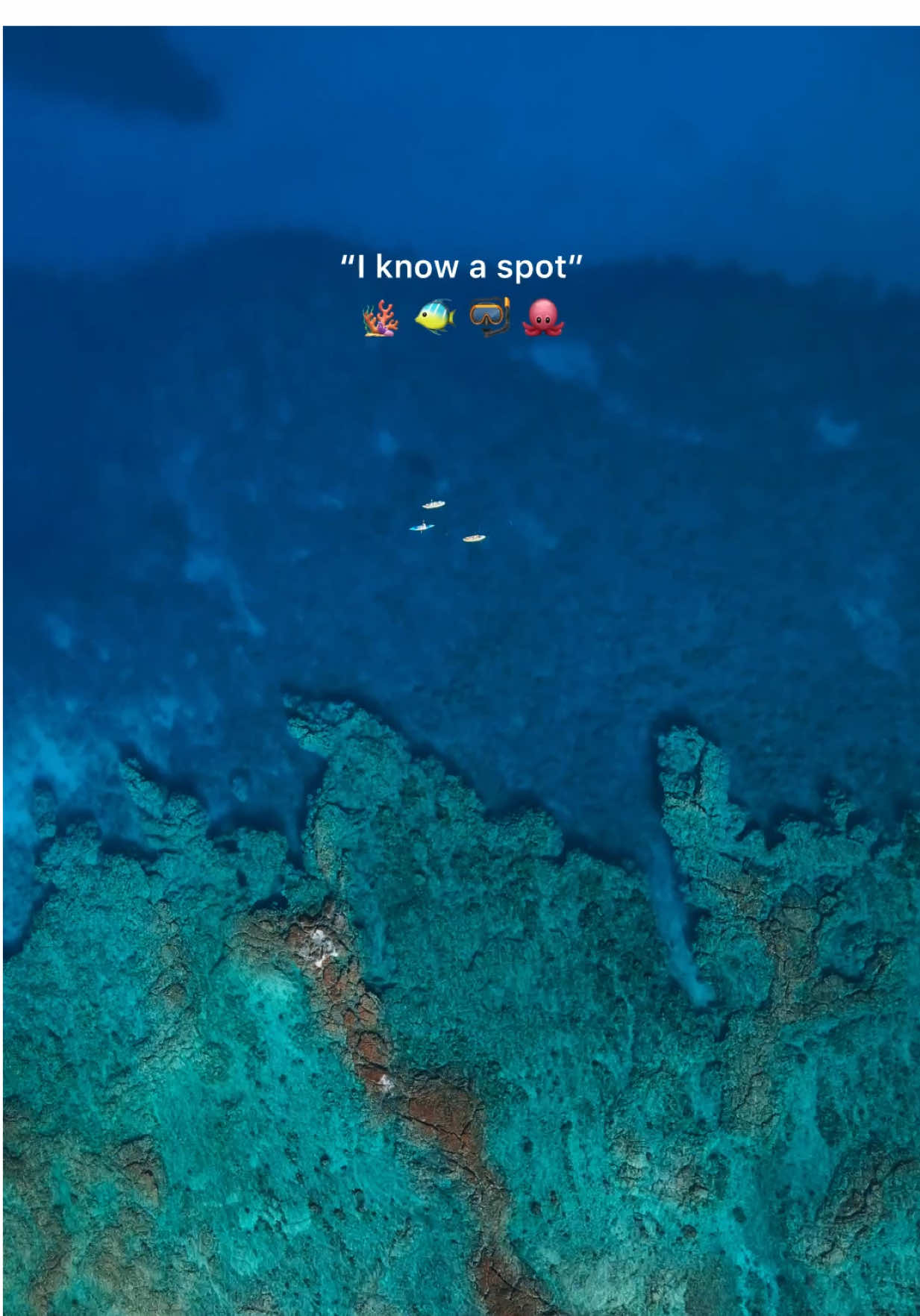 A post by @paigedeas on TikTok caption: Favourite place on earth is maybe underwater now..