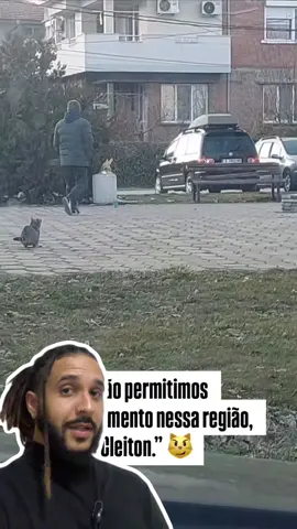 A post by @mesquitareacts on TikTok caption: O gato deu uma VOADORA no drone!🐈😱 . . . #animaisnotiktok #bichos #curiosidades #curiosidadeanimais #agoravocesabe #aprendanotiktok