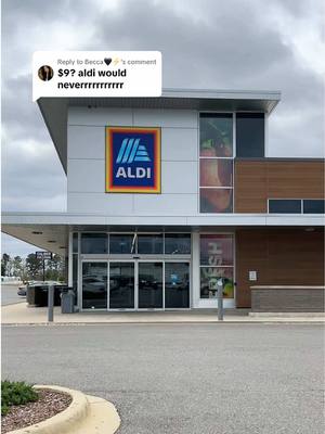 A post by @buhhhhreeee on TikTok caption: Replying to @Becca🖤⚡️ “The car is shrinking” 😂 | #biteswithbuhhhhreeee #food #Foodie #aldi #shopping #aldifinds 