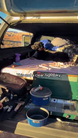 A post by @moxiesadventures on TikTok caption: Moxie likes public lands. And she really likes lounging in the truck bed.  #protectpubliclands #campingwithdogs #desertcamping #truckcamper #adventuredog #utah