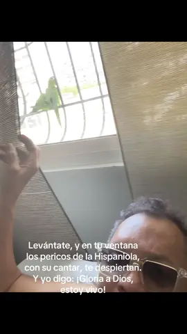 A post by @rafarosar8 on TikTok caption: Pericos de la Hispaniola en casa. En lo simple y todo lo que viene de la naturaleza, obsérvala con detenimiento y ahí está la felicidad. @Chantal Rosario @Altagracia Del Rosario @sofirosario2 @AriannyTavarez @josephmartinez58778 @HermanosRosarioOficial 