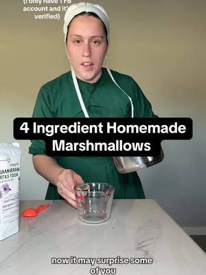 A post by @literallyjust_a_girl on TikTok caption: My Amish cookbook has over 150 recipes and is on a big sale right now only available on my website ➡️