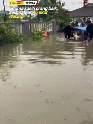 A post by @utusantvofficial on TikTok caption: 21 MAC 25: Antara terkesan dengan banjir di Johor.📍Kampung Seri Jaya, Tampoi, JB. 📽 milik @kafiibara #trendingnewsmalaysia #fyp #beritaditiktok #jbbanjir 