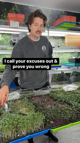 A post by @blohmtreezy on TikTok caption: Poison In our Food, Water, Products, Soil, Air, & Minds. Be the Change you want to see. I made it easy for you. Get Started at Growingfruition.com 