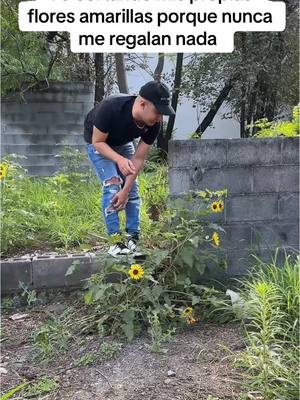 A post by @juliolopezjl on TikTok caption: Triste final 😂 #floresamarillas #primavera #humor 