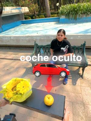 A post by @alexisomman on TikTok caption: si me siguen podré cada vez regalar mejores cosas! #floresamarillas #parati #foryou 