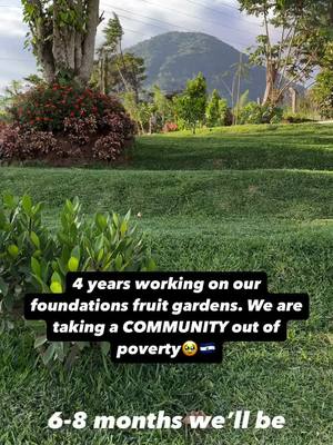 A post by @murphslife on TikTok caption: We’re taking an entire community out of poverty🙏🏻 