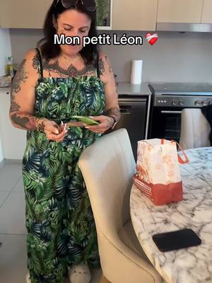 A post by @chichicanos on TikTok caption: J’espère qu’il pourra sortir rapidement ❤️‍🩹 #chihuahua 