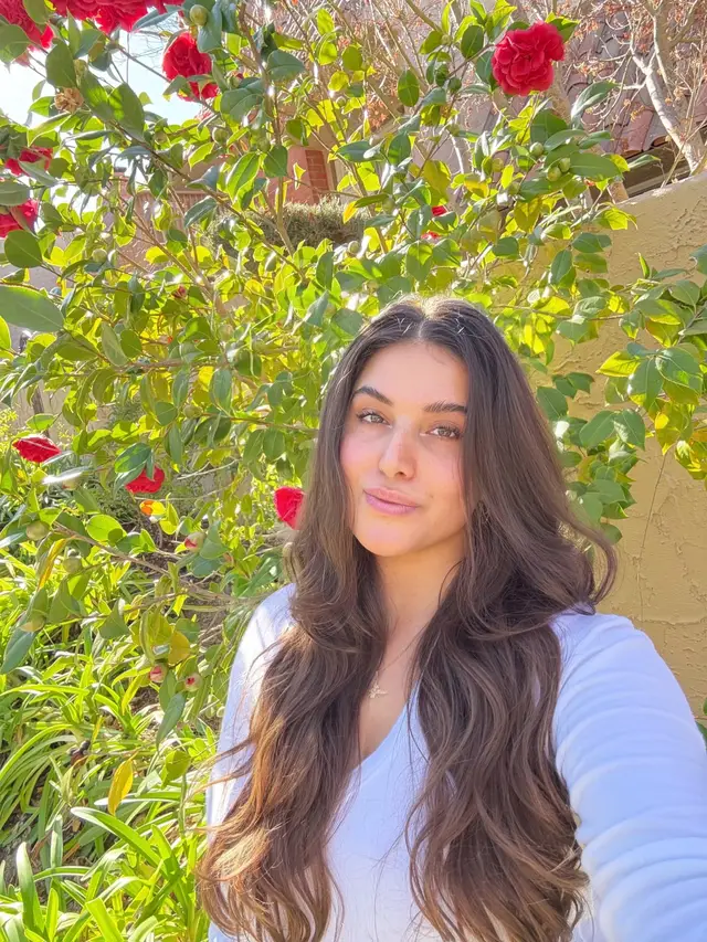A post by @aundia13 on TikTok caption: Spring has sprung 🌱🌷🦋🩷 #nowruz #norooz #norouz #persiannewyear #spring #iraniantiktok #persiantiktok #persian #iranian 