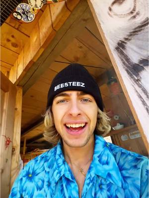 A post by @beesteez on TikTok caption: Das letzte Bienen Video! 🙏🏼 ab jetzt machen wir richtige Naturschutz Aktionen 🙌🏼👊🏽 #beesteez #naturschutz #steeztour #beesteezisland 
