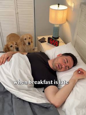 A post by @elliegoldenlife on TikTok caption: I made a BIG mistake and won’t be late for breakfast again! Ellie and Emma will do ANYTHING for their Spot & Tango UnKibble, and to be honest, I don’t blame them. It’s made with 100% human-grade ingredients and is slowly cooked at a low temperature to lock in nutrients and flavor. We’ve been feeding this food for over 4 years and couldn’t be happier. It helped Ellie lose nearly 20 pounds, both girls have unreal mealtime excitement, and their energy levels are off the charts. So much so that sometimes I forget Ellie is 8 years old because she acts like a puppy! If you want to try UnKibble, the promo GOLDEN will save you 60% off your first order. I will warn you, though, that your dog will likely love it so much that they’ll be upset if you’re late for meals. #spotandtangopartner @Spot & Tango #goldenretrieverlife #dog #smile #food #bffs