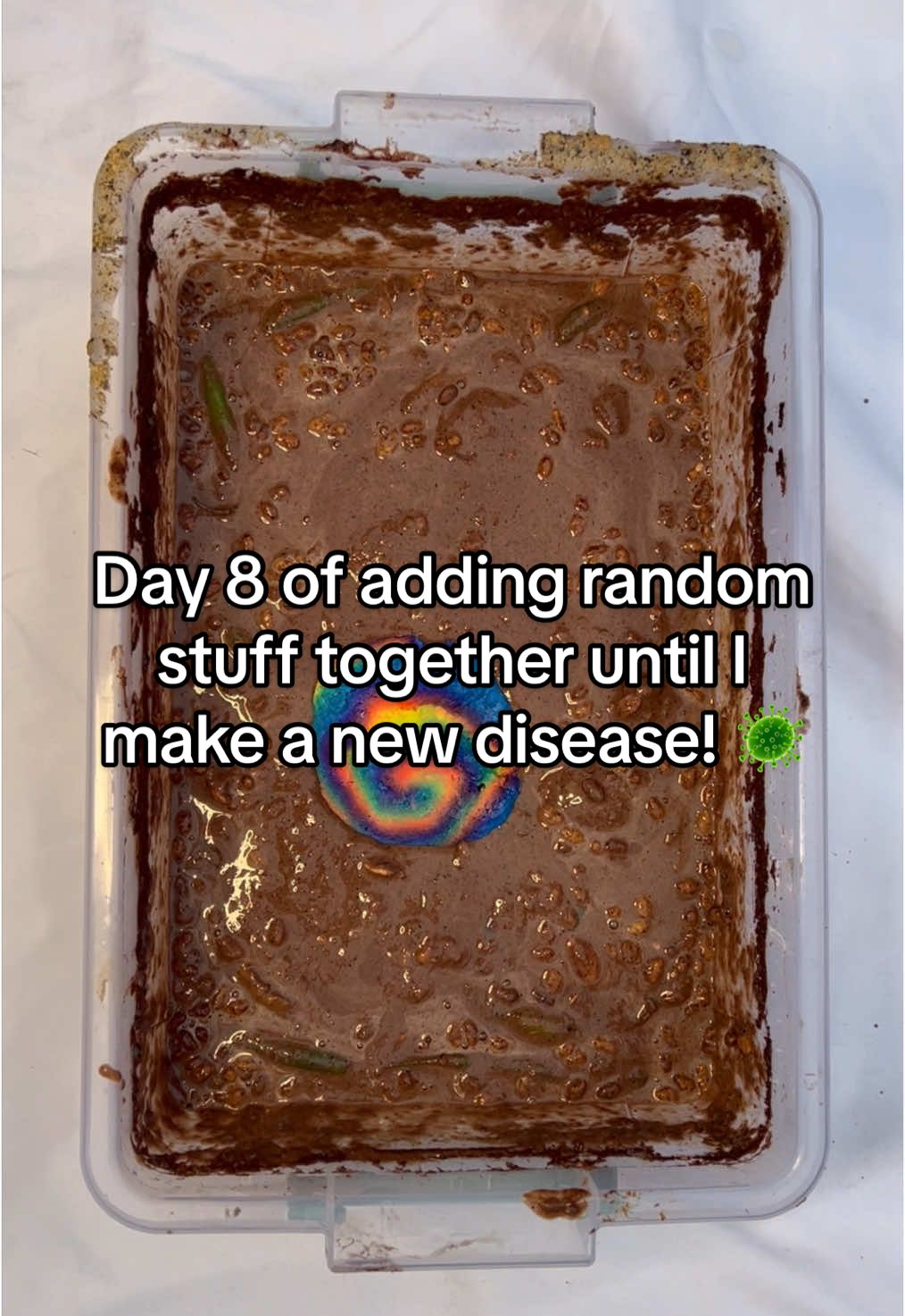A post by @disease.box on TikTok caption: Taste test on day 10! 😳🤢 | Day 8 📥🥼 | #experiment #science #box #disease #community #viralvideos #tastetest #2million #fyp #diseasebox #part8 