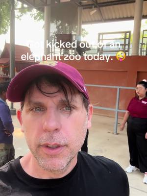A post by @planting_peace on TikTok caption: I need your help. I have an elephant that has been enslaved for 50 years, giving rides to tourists every day. She has one tooth left. She will not be with us much longer without intervention. They kicked me out of the zoo before I could capture much footage of her. I don't think they like me. They would not call me a cab, forcing me to walk two hours before catching a motorbike, lol.   Anyways, let's bring Thong Poon home. She is the sweetest girl. Can't wait to show you her face. Will post a fundraiser to save her life today. -Aaron #plantingpeace #bles #rescue 