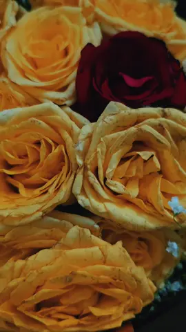 A post by @shairinakhan on TikTok caption: 💐 #flower #bangladesh #fyp #foryoupage #dhaka 