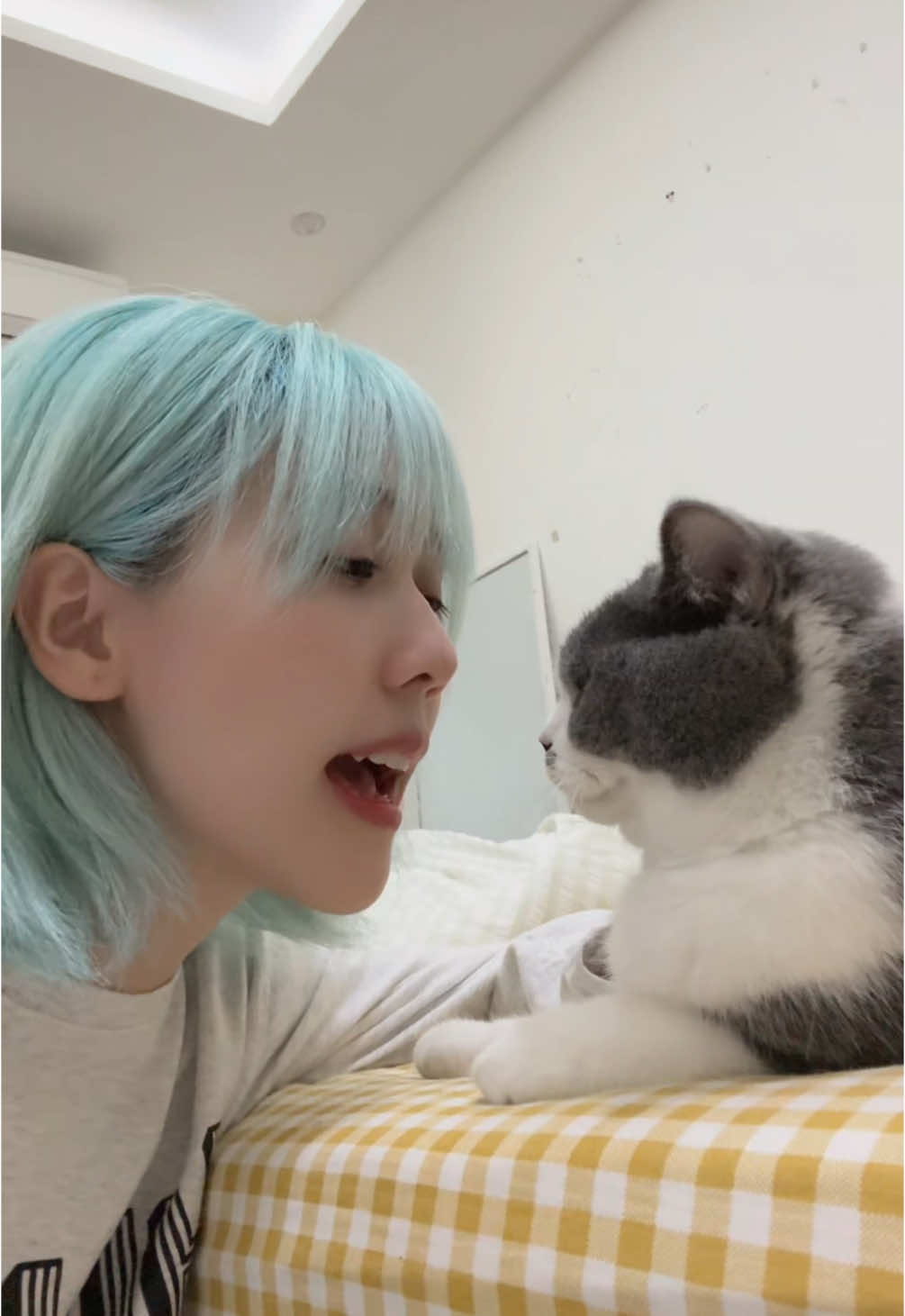A post by @hauhoang on TikTok caption: Đi chửiii nhau mà quên kịch bản 🙄