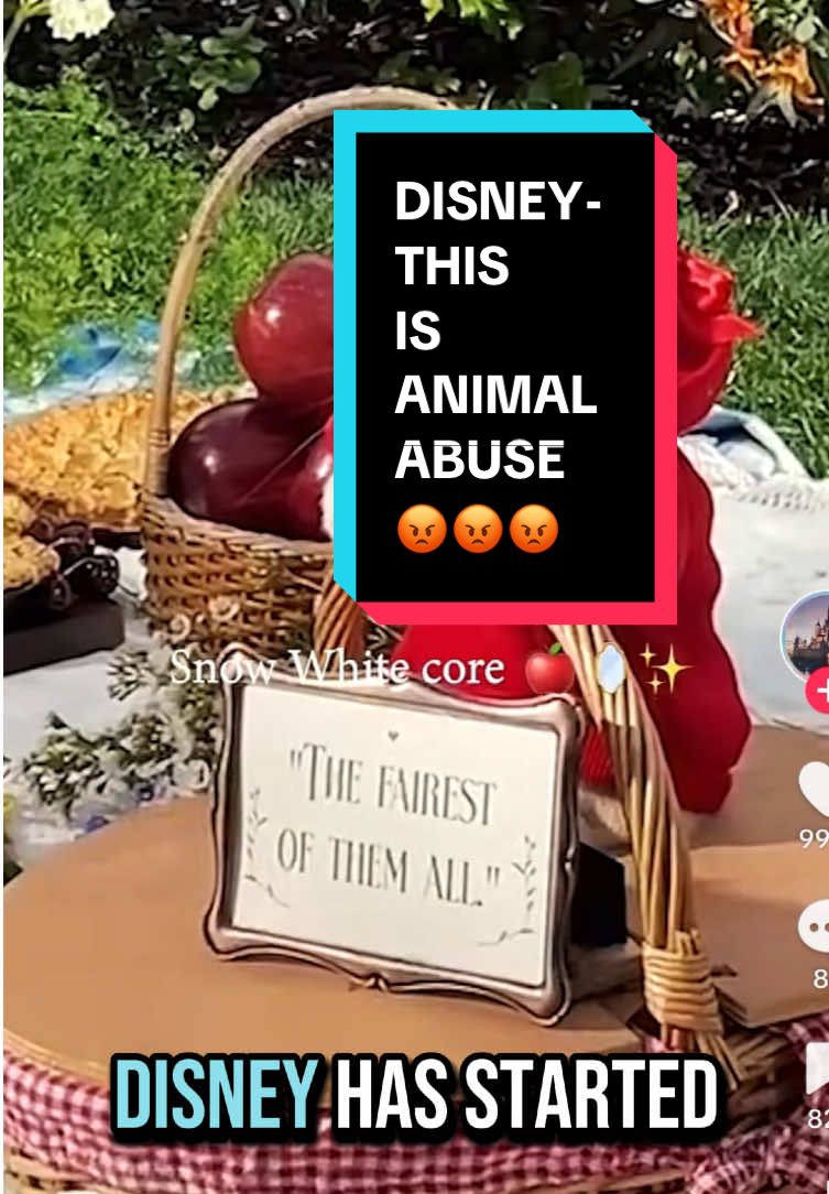 A post by @hazelnut_the_bunny on TikTok caption: I will not stand for animals being stressed out for human entertainment, it’s just not right. 😔 #bunnytok #stopanimalabbuse #disney #disneystudios #disneyanimals #bunnydayoff 