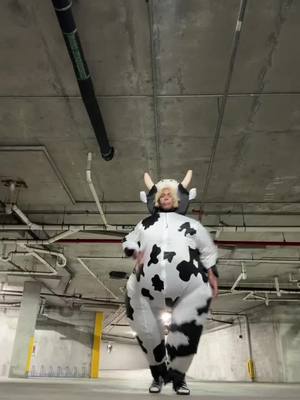 A post by @alibaba_rcm on TikTok caption: Cow rock #alibaba💫 