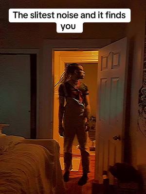 A post by @lante_scary_lives on TikTok caption: The slitest noise and it will find you 