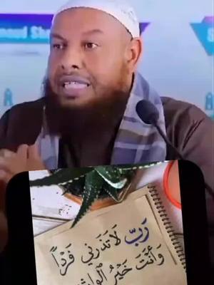 A post by @mhersi0561 on TikTok