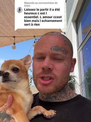 A post by @chichicanos on TikTok caption: Réponse à @Coco on espère qu’il vivra le plus longtemps possible dans de bonnes conditions ##chihuahua##leon##maladie
