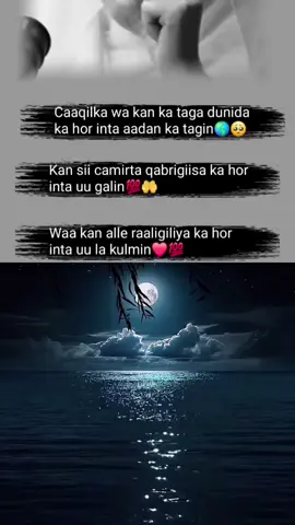 A post by @umsamira2012 on TikTok caption: #duett med @Yuu cali🥀🇧🇸 #sadlife 