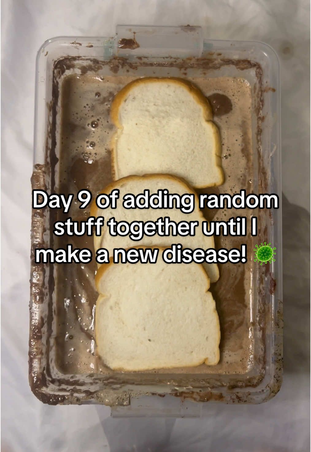 A post by @disease.box on TikTok caption: Submerging my hands in the box on day 10! 😳🤢 | Day 9 📥🥼| #experiment #science #box #disease #community #viralvideos #fyp #diseasebox #day9 #special  #fun 