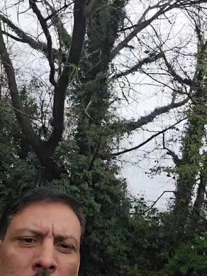 A post by @shorty_jatt_hunter_786 on TikTok caption: #birmingham #hunter #🦅 #alhamdulillah❤️ @muhammedrafaqat786 