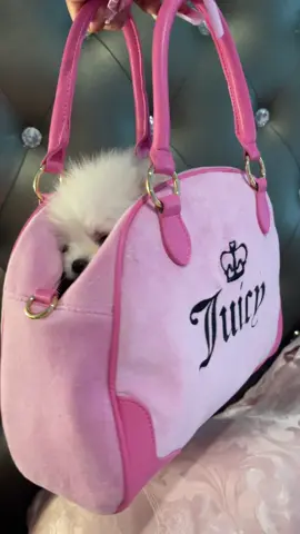 A post by @soprettyshell on TikTok caption: she’s just a gurrrr💅🏽