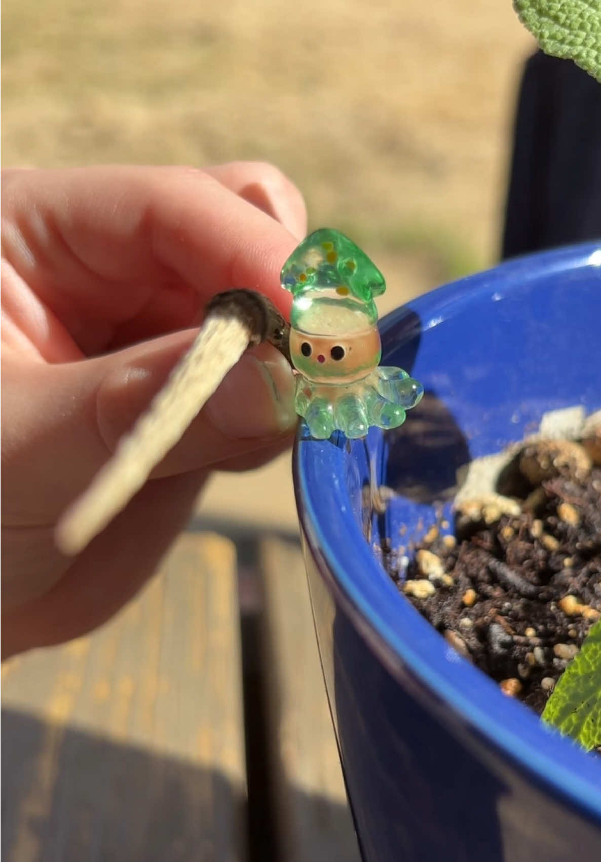 A post by @amandaseghetti on TikTok caption: My 6 and 8 year old kids made this “Octopokey” video 😆 please let them know how much you like it!