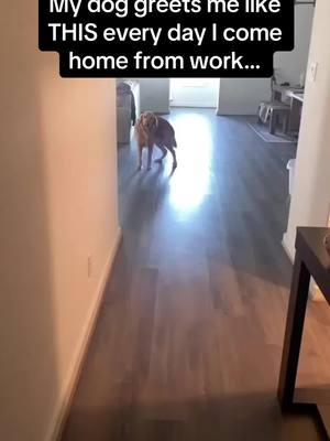 A post by @pubity on TikTok caption: The SPINNY SPINS 😭😭😭 #RoadTo18Million #Pubity  (Weston Bell via ViralHog)