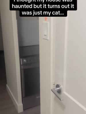 A post by @pubity on TikTok caption: This is pretty impressive tbh 🤣🤣 #RoadTo18Million #Pubity  (bengal_stormy via ViralHog)