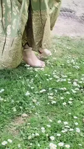A post by @rain_of_islam on TikTok caption: #foryou #unfrezzmyaccount #bdmuser #bdtiktokofficial #rainysongbird #tiktoktrend 