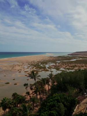 A post by @gabrieloxguevaraa on TikTok caption: FAM IN FUERTEVENTURA! 🏝️ 🥥 🏄‍♂️ 🤿  @Ismael Abadal @Hamza Zaidi @Nines 