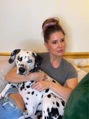A post by @amandacerny on TikTok caption: I’ll never not remember a dog‘s name ☝️🐶😍 @@Lee Asher##dogs##rescuedog##animals##comedy##relatable