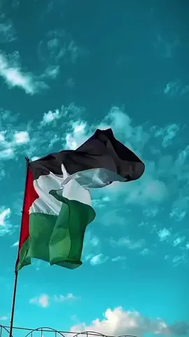 A post by @taz1518 on TikTok