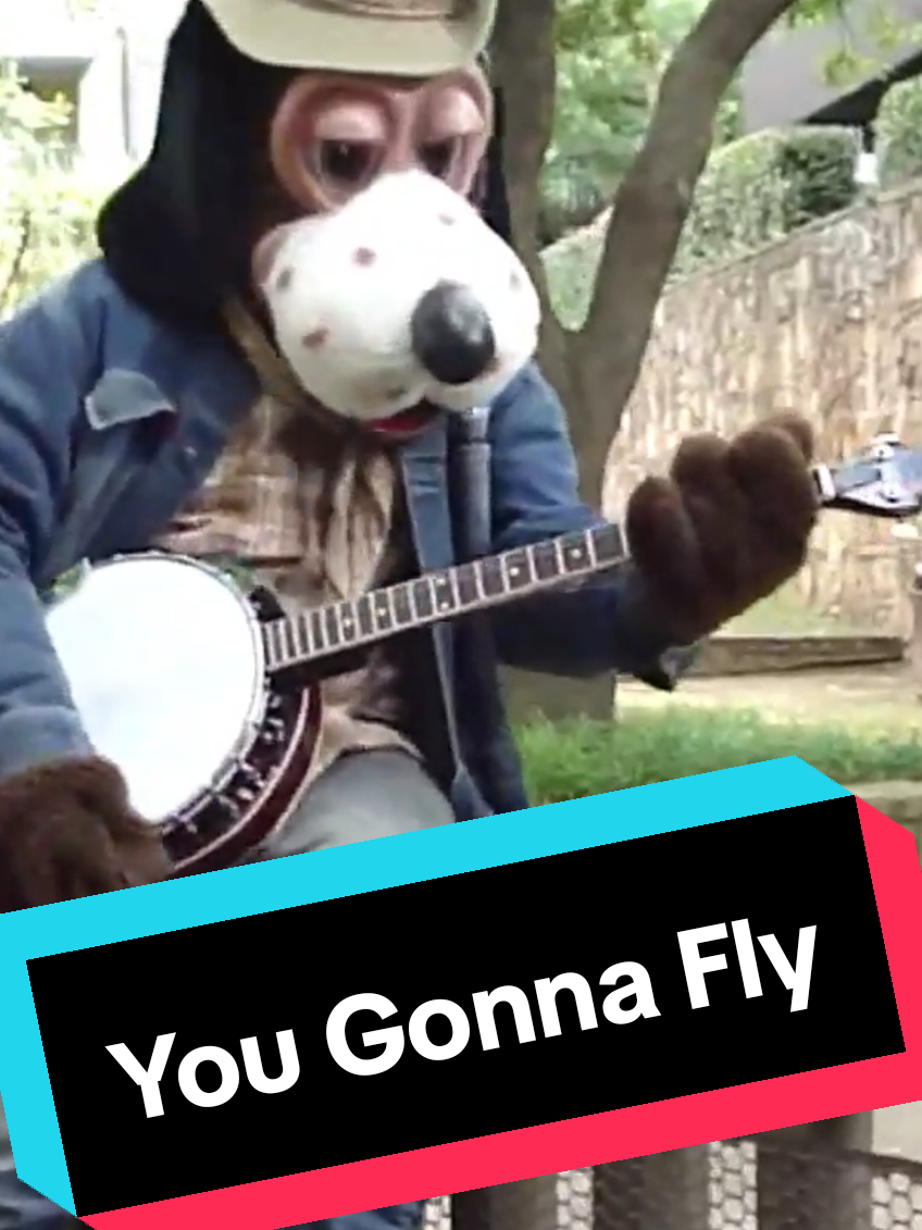 A post by @mattthefranchize on TikTok caption: Jasper performing "You Gonna Fly!" A cover originally sung by Keith Urban. During "lockdown" we asked Jasper if he wanted to make a music video. He agreed and the rest is history. #ChuckECheese #ForYou #ForYouPage #FYP #fypシ  #JasperTJowls #YouGonnaFly #KeithUrban #Music #Country #CountryMusic #Mascot #Animatronic #Entertainment 