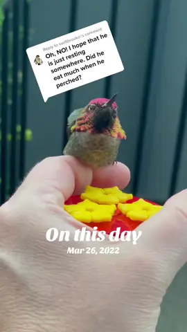 A post by @akarebear311 on TikTok caption: #onthisday 